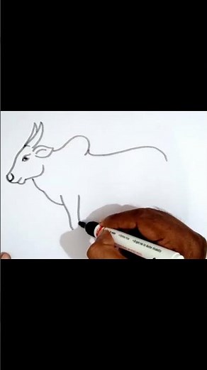 How to draw a ox easy drawing step by step#drawing
