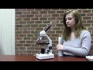 How to Use a Microscope