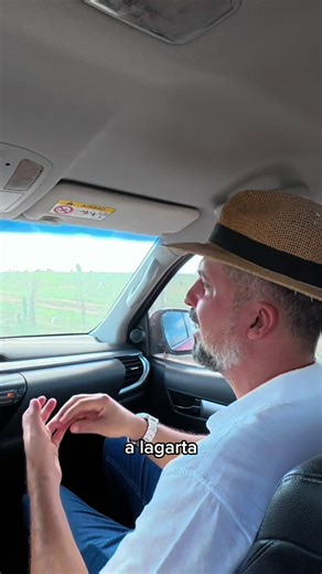 Ep. 11 | Dois cenários 🌱 De um lado, o pasto totalmente limpo e arado. Do outro, a caatinga preservada — com árvores nativas e muito mais vida. A diferença é clara: mais sombra, mais biodiversidade e mais equilíbrio. No sertão, preservar também é produzir 🌵 🎥 Assista completo no YouTube (link na bio) #Queijai #Caatinga #Agro #Sertão #Semiárido