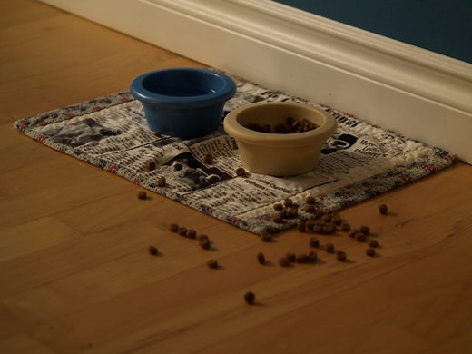 Celebrity Pet Food Lines Which Feature Organic & Natural Products For Dogs