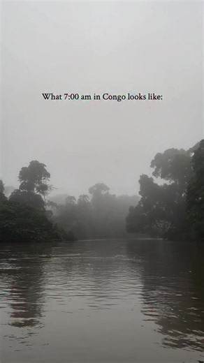 The Congo Basin Is Hiding Some Seriously Bizarre Secrets The Congo Basin is far more than a giant rainforest. From massive peatlands storing billions of tons of carbon and a river plunging over 200 meters deep, to blind fish, bonobos, okapis, forest elephants, and species still being discovered—this ecosystem is full of surprises. And remember, the Congo Basin is also home to some seriously dangerous animals. 🐊🌿