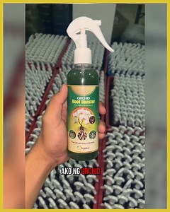 34 reactions · 6 comments |  Ang hirap pala mag-alaga ng orchids—ang daming steps!  Ang dami ko rin nasira dahil sa overwatering at root rot. Buti nakahanap ako ng Orchid Root Booster, herbal at safe. In 1 week, bumalik sigla ng roots ng orchids ko.  Legit lang sa official FB page, and naka Buy 1 Get 2 + Free Shipping pa ngayon. Gusto mo ba makita bundles? | Orchid Root Booster | Facebook
