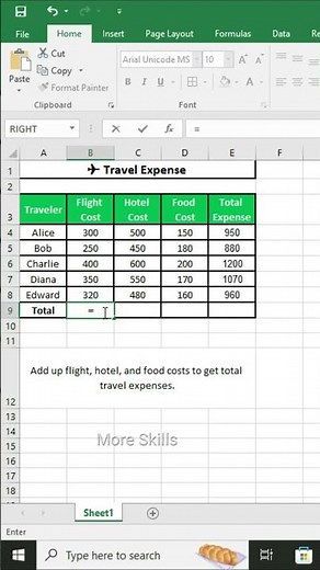 Track Travel Expenses in Excel