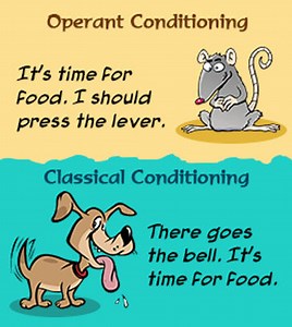 Classical Conditioning vs. Operant Conditioning