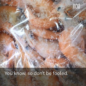 3.8K views · 16 reactions | 戀戀 SNAP FROZEN MYTHS 戀戀 Do you know what snap frozen seafood really means? Mount isa seafood wholesaler, Paul Stretton explains. | ABC North West Queensland | Facebook