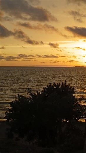 188K views · 7K reactions | Luis Alfonso Herrera on Reels | Facebook