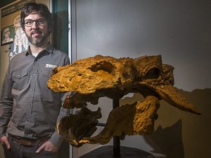 Meet Zuul: ROM's new 76-million-year-old dinosaur species