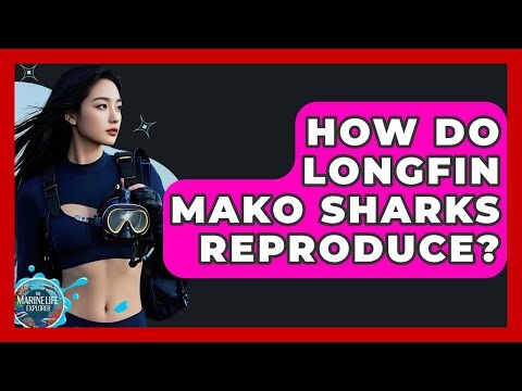 How Do Longfin Mako Sharks Reproduce? - The Marine Life Explorer