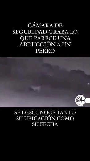 14K views · 328 reactions | #ALIENMISTERIOS #Alienmisterios | Alien Misterios | Facebook