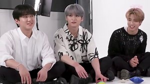 We Ranked 35 Puppy Interviews By Cuteness, But To Be Honest, They Are All Perfect