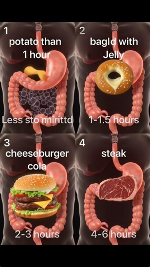 How Long Foods Keep You Full
