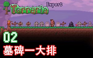 [小宝趣玩]泰拉瑞亚双人联机专家生存 02 墓碑一大排 探索地下时突遇史莱姆雨