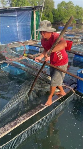 Real Fish Farm Life in the Countryside #shorts