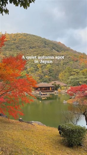 6.1K views · 65 reactions | Looking for a garden that feels like a...