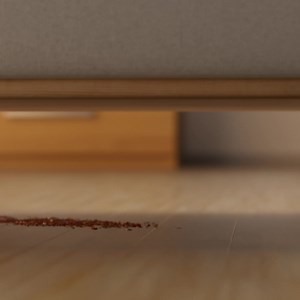 The Gtech AirRAM 3 is the team's official clean, with cordless power that makes light work of even the toughest messes. Get a clean sweep every time. | Gtech