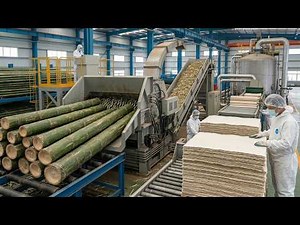 Why Bamboo Paper is Still Made by Hand! (Step-by-Step Ancient Invention)