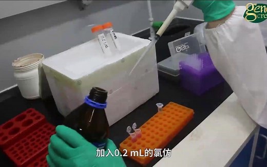 教程| qPCR实验怎么做，看这个视频就可以了