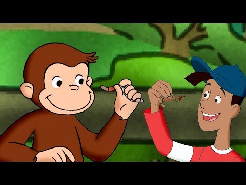 ¡La carrera de lombrices de Jorge!| Jorge El Curioso | Dibujos Animados en Español