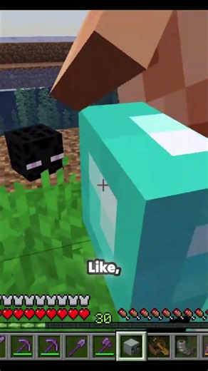 Wait, why do these Enderman heads look so different? 🤨