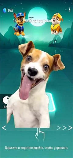 Chase vs Rubble: The Ultimate Paw Patrol Pup Race! 🐶⚡️🏁