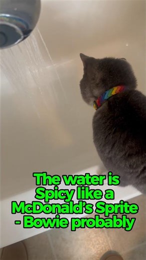 Spicy Water