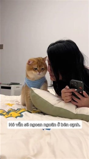 It was only after I got a cat that I discovered a few things.