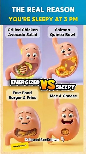 Why Your Lunch Makes You Sleepy 😴
