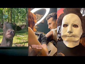 Funny TikToks That had me Rolling on the chair! 43