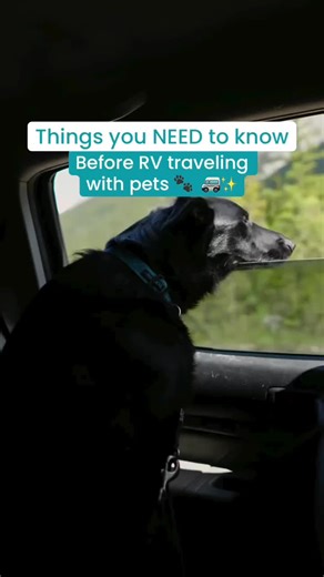 Planning to RV with your pets? Here’s everything nobody warned us about before we hit the road 🐾🚐 Most new RVers don’t find this out until they’re already miles from home — and we’re sharing it all so you don’t have to learn the hard way. What nobody talks about up front: — Most campgrounds have breed restrictions AND pet limits (yes, even for small dogs) — Emergency vet care on the road can cost 2–3x more than your regular vet at home — National parks like Yellowstone have strict pet policies