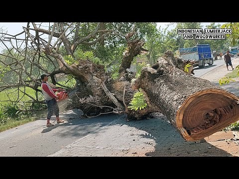 Nail tree!! Cut down dead trees by the side of the road.
