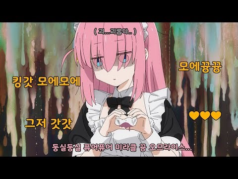 봇치 더 락! ~ 봇치쨩의 모에모에뀽 퓨어퓨어 오므라이스! 《 ぼっち・ざ・ろっく! | Bocchi the Rock! 》