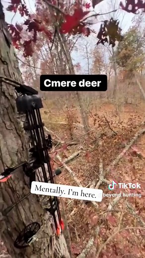 Mentally. I’m here. #bowhunting #bowhunter #archery #mathewsarchery #archerylife #ultraviewarchery #deerhunter #fyp #bowlife #deerhunting #Outdoors #deerhunter
