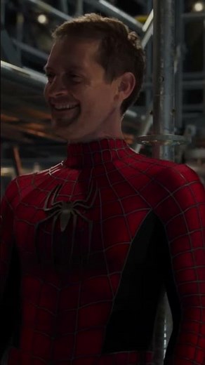 Spider-Man: No Way Home: The More Fun Stuff Version