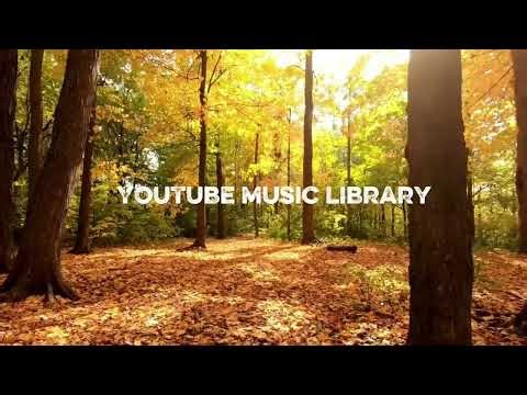 A Huevo - [ YouTube library music ] No copyright !