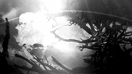 Stateless: E. Elias Merhige