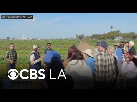 The 13th Annual Ventura County Farm Day allows you to connect with local agriculture