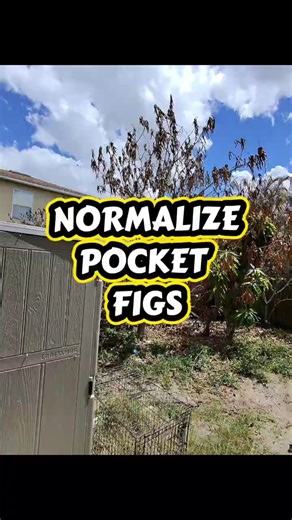 Marvel Legends X-Men ‘97 Sentinel Review + Posing | “Normalize Pocket Figs” Trend 😂