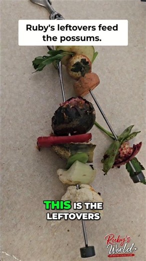 Ruby's Leftovers Feed the Local Wildlife! 🦜🦝 Nature's Little Recycling Team