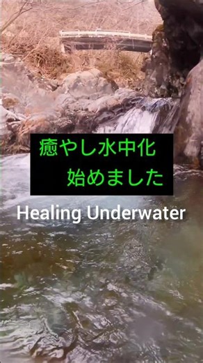 #healingunderwaterscene #japanlandscape #mountainstream【20】