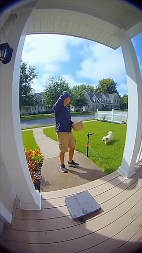 Angry Delivery Guy Gets Sprayed by Smart Dog 😂 #DoorbellCamera #FunnyDog #DeliveryFails #CamLaughs #RealFunnyMoments #CaughtOnCam #DogPrank #HomeSecurity #LaughChallenge | CamLaughs