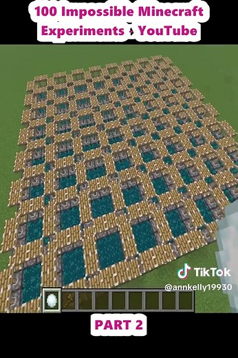100 Minecraft Experiments You Must Try