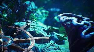 Underwater Cave, Helm and Plants, Cinematic Background 3D Animations Rendering CGI 4K Stock Video