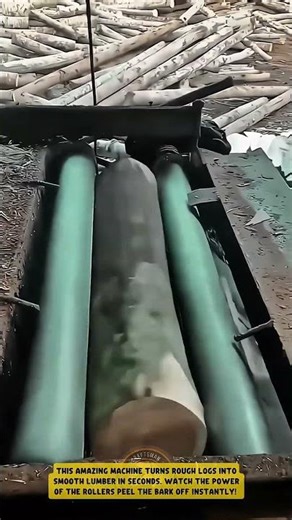 The DEBARKING MACHINE is insanely FAST at STRIPPING WOOD! 🤩 So SATISFYING to watch!