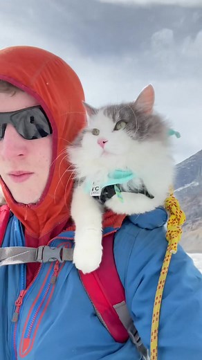 Embracing the Crazy Cat Man Life with Gary