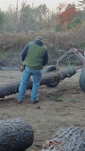 Making log ready for transport! #logging #log