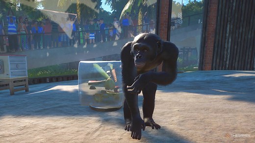 Planet Zoo: How To Increase Education Ratings