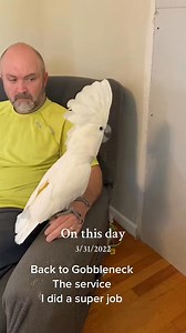 #onthisday #gobblegobble #easter #cockatoo #subtitles | Busterrthecockatoo