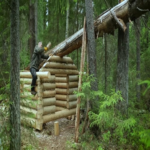 I built my best bushcraft log cabin ever in under forty-five days. Log Hut, ASMR | Backwoods Beacon