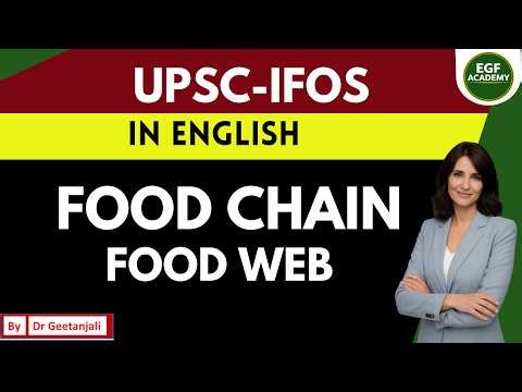 Food Chain & Food Web: Grazing vs. Detritus | UPSC Environment & Ecology I UPSC English Medium
