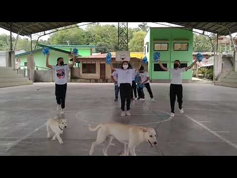 2 minute Cheer dance routine MAPEH || Cheer dance basic steps